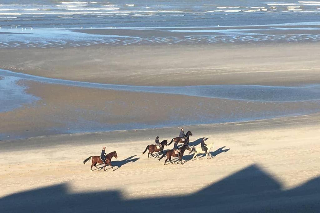 Entre Dunes Et Mer Bray-Dunes Bagian luar foto