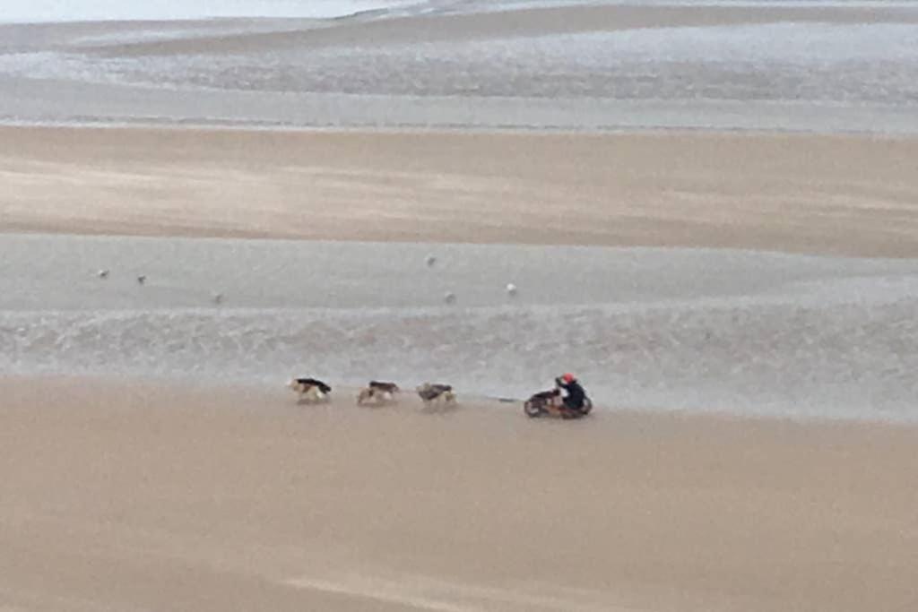 Entre Dunes Et Mer Bray-Dunes Bagian luar foto