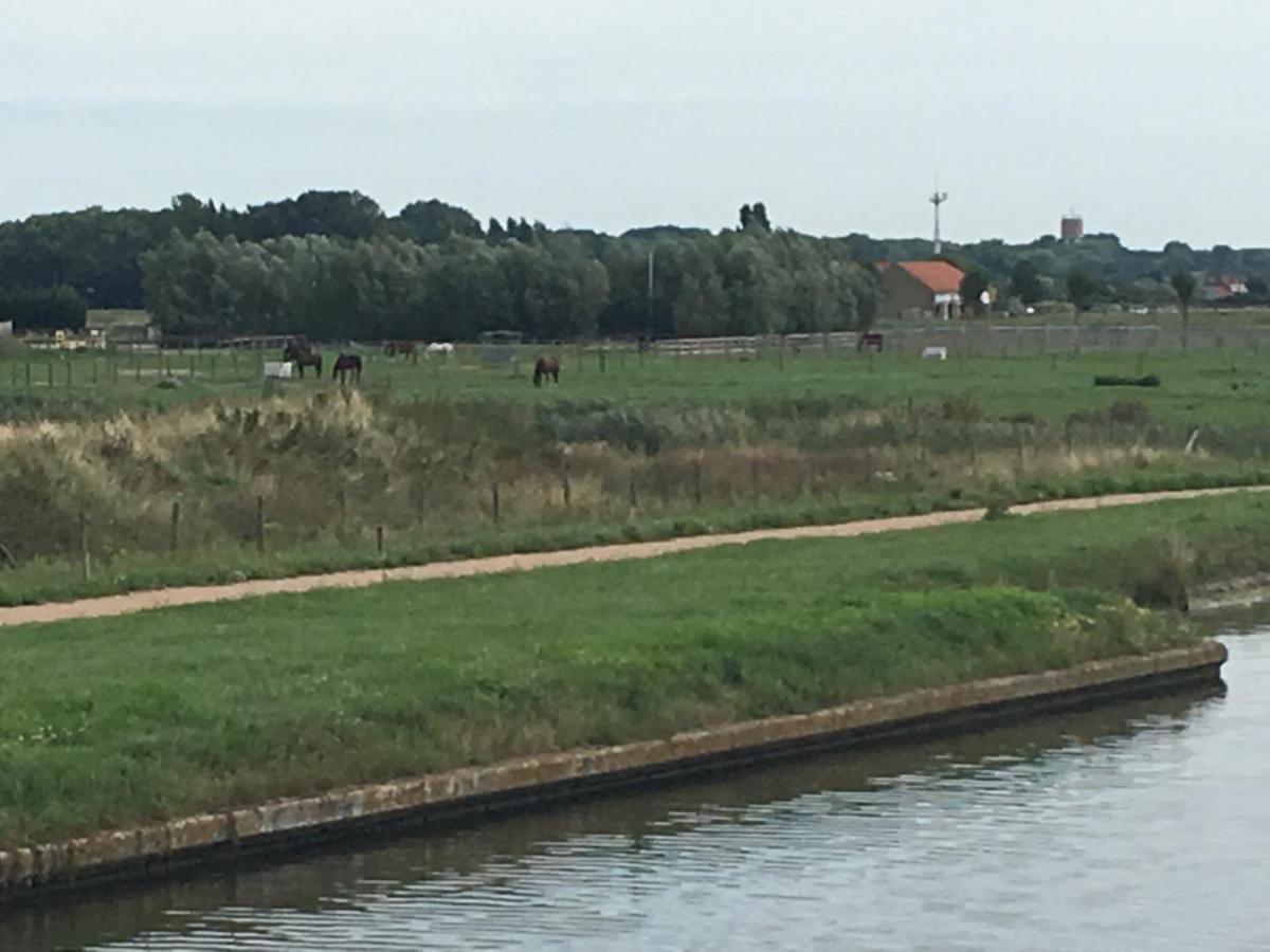 Entre Dunes Et Mer Bray-Dunes Bagian luar foto
