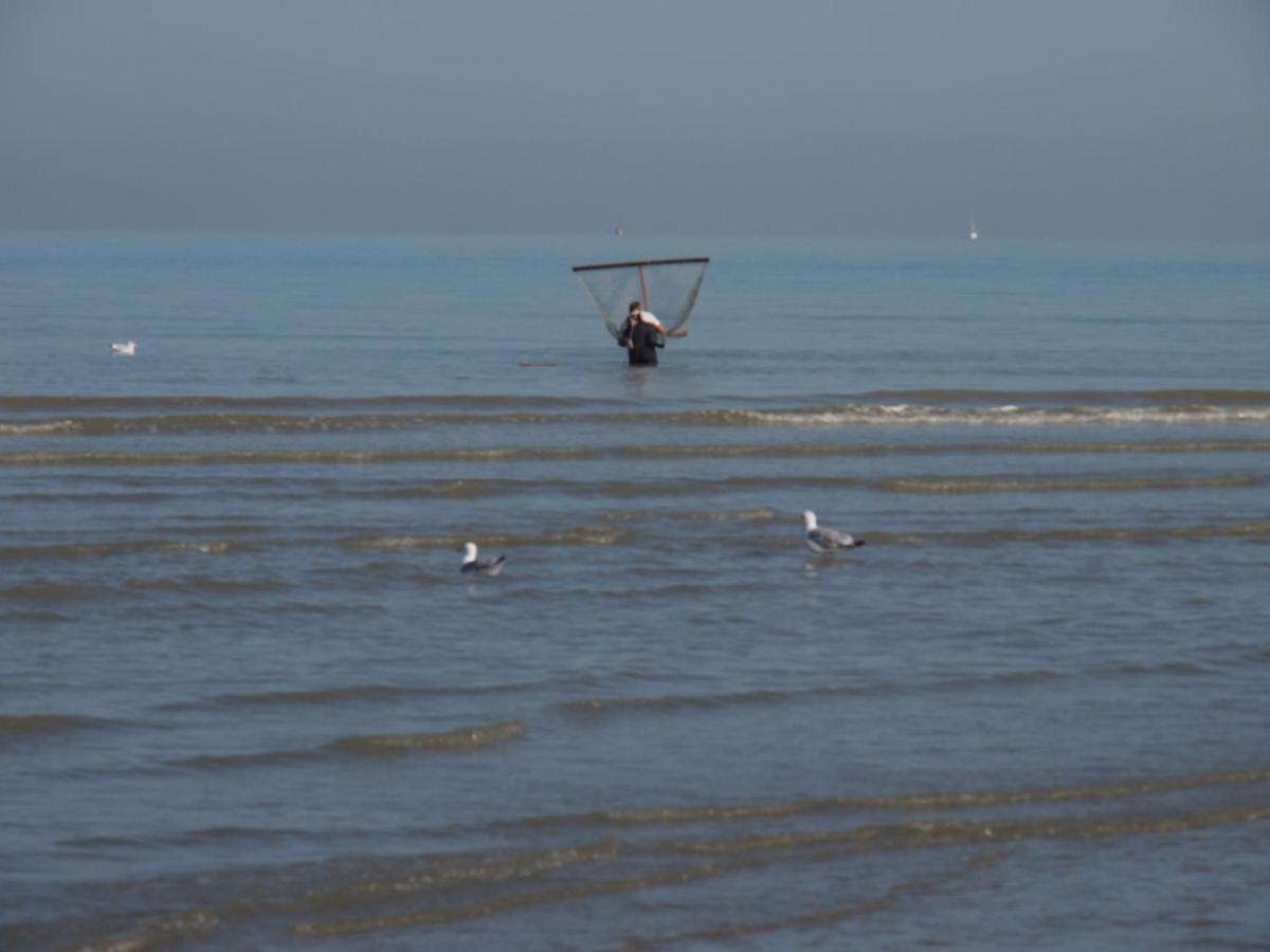 Entre Dunes Et Mer Bray-Dunes Bagian luar foto