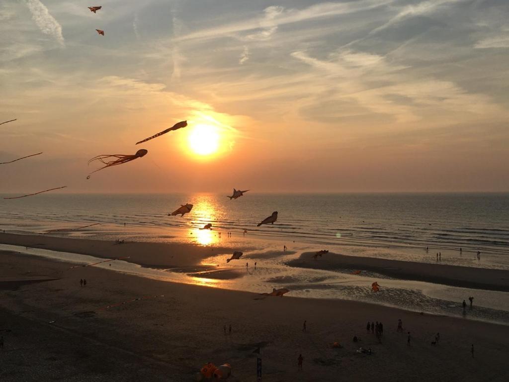 Entre Dunes Et Mer Bray-Dunes Bagian luar foto